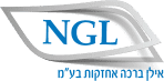 בניית אתר מכירה - NGL LTD